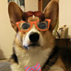 Meet your Posher, Breanna